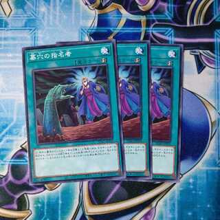 墓穴の指名者 ノーマル ３枚セット