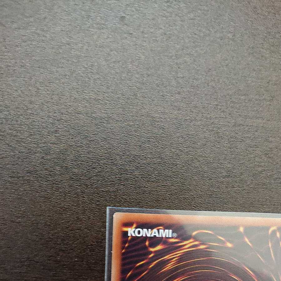 捕食植物ヴェルテ・アナコンダ ウルトラレア