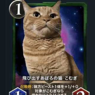 【たけさん用】飛び出すあぽろの猫 こむぎ