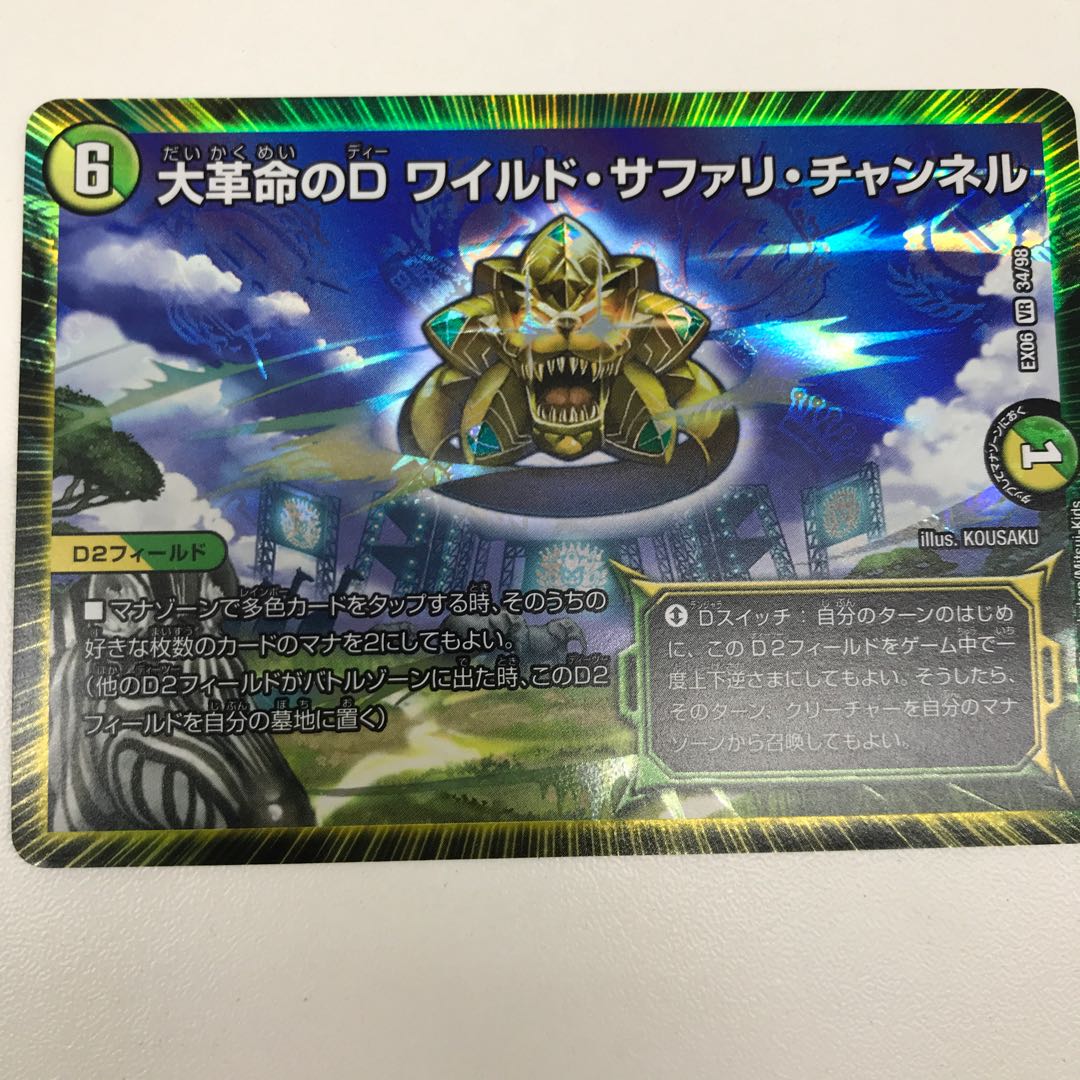 Wild Safari Channel 1枚