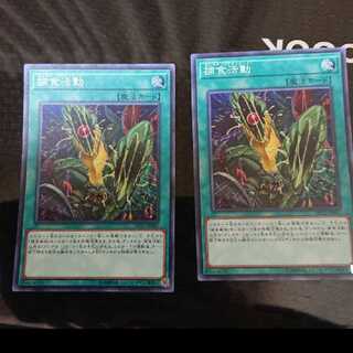 捕食活動 スーパーレア 2枚セット