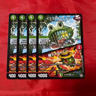 Ikkodas Kage｜Species Destiny