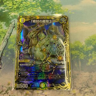 「絶対の楯騎士」