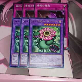 Viper's Grudge Normal Predaplant Chimerafflesia Rare 3 copies each
