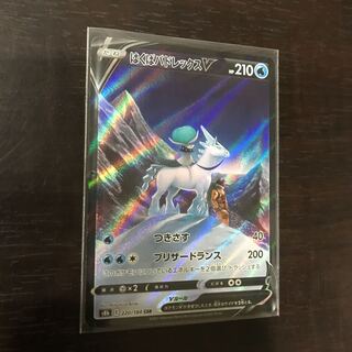 はくばバドレックスV CSR