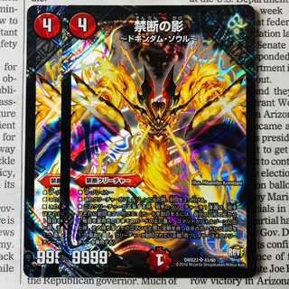 Forbidden Shadows - Dokindam Soul