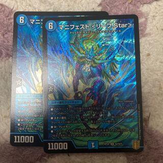 マニフェスト <リーフ.Star>