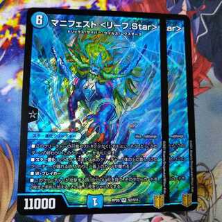 マニフェスト　リーフ.Star