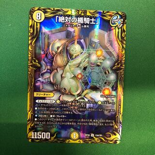 「絶対の楯騎士」金シク　A