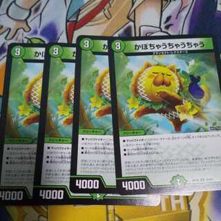 かぼちゃうちゃうちゃう