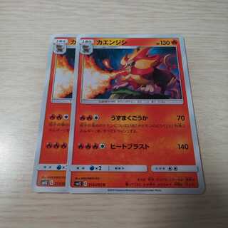 カエンジシ 2枚セット sm12