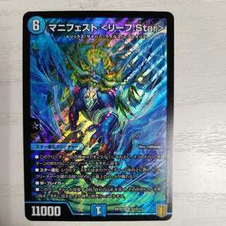 マニフェスト〈リーフ.Star〉SR