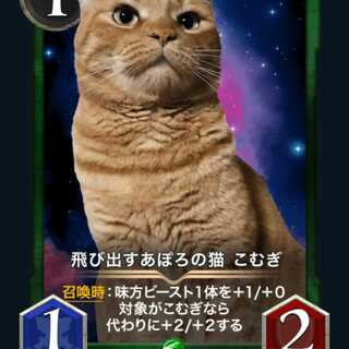 入手困難　こむぎ　2枚