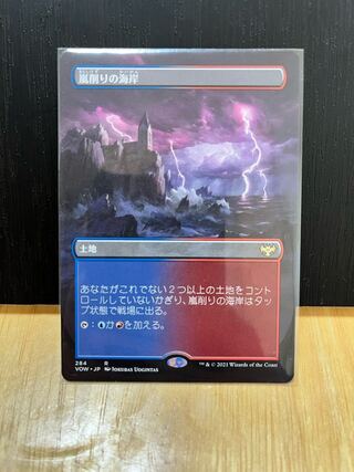 MTG Rare Land Stormcarved Coast