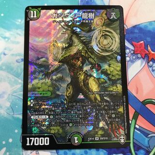 ガンヴィー龍樹