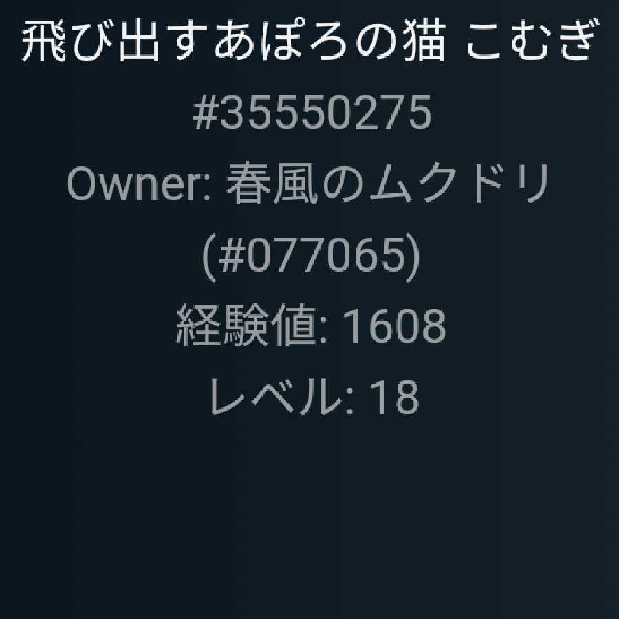 平均レベル22！　2点セット　飛び出すあぽろの猫　こむぎ
