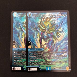 マニフェスト＜リーフ.Star＞