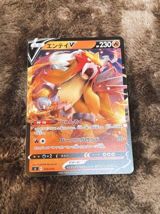 【美品】エンテイV ノーマル