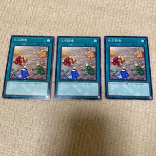 化石調査　ノーマル　3枚