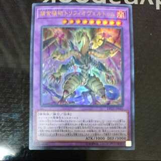 捕食植物トリフィオヴェルトゥム ウルトラレア