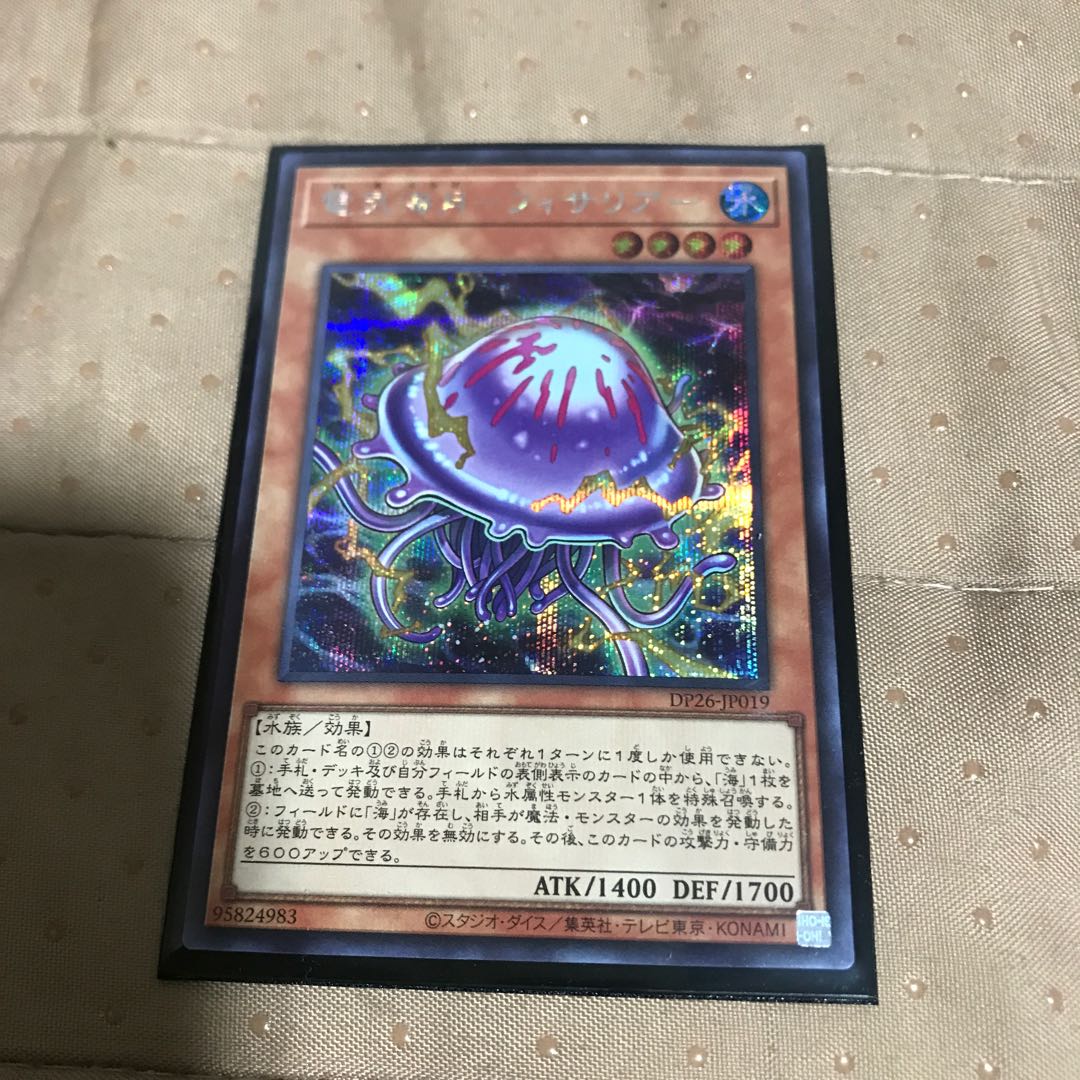 mg8-8 Electric Umi Moon Fisa Squirrel Secret