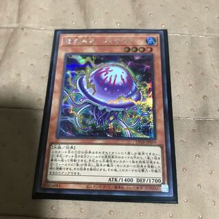 mg8-8 Electric Umi Moon Fisa Squirrel Secret