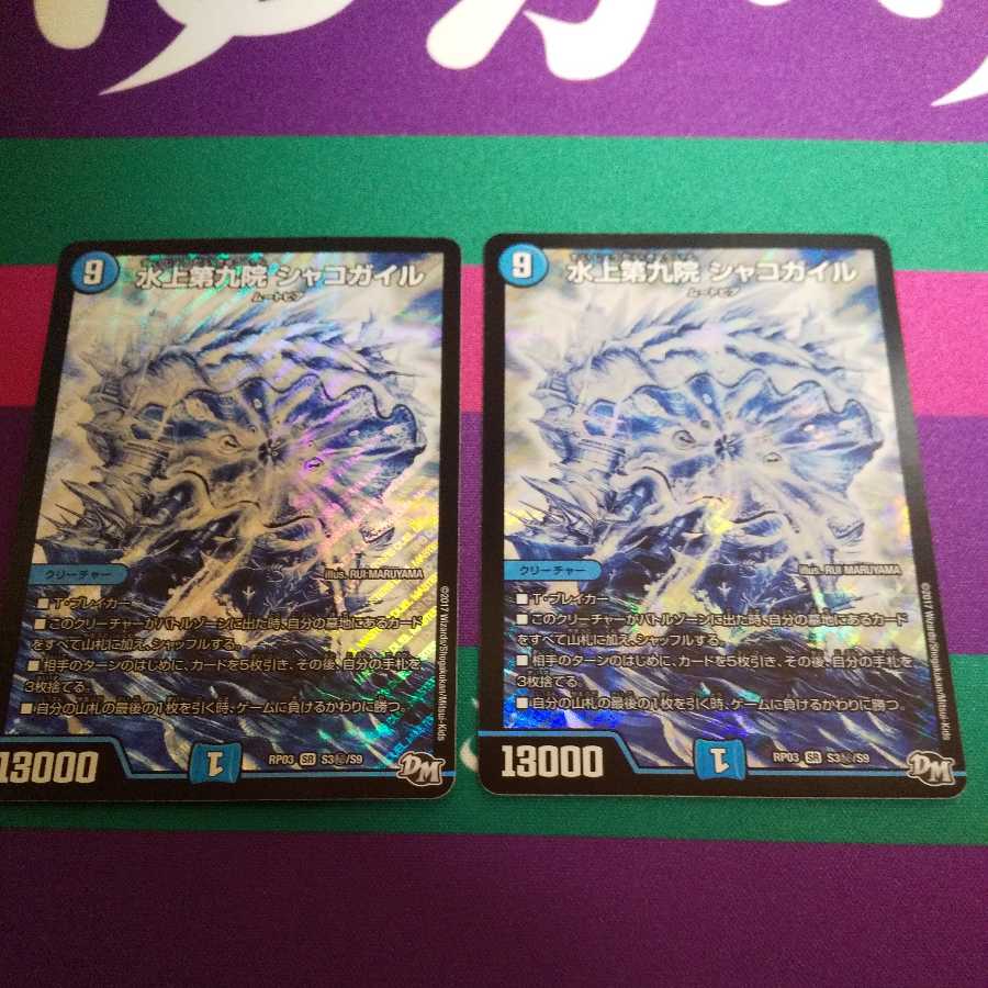 水上第九院 シャコガイル