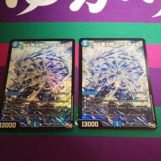 水上第九院 シャコガイル