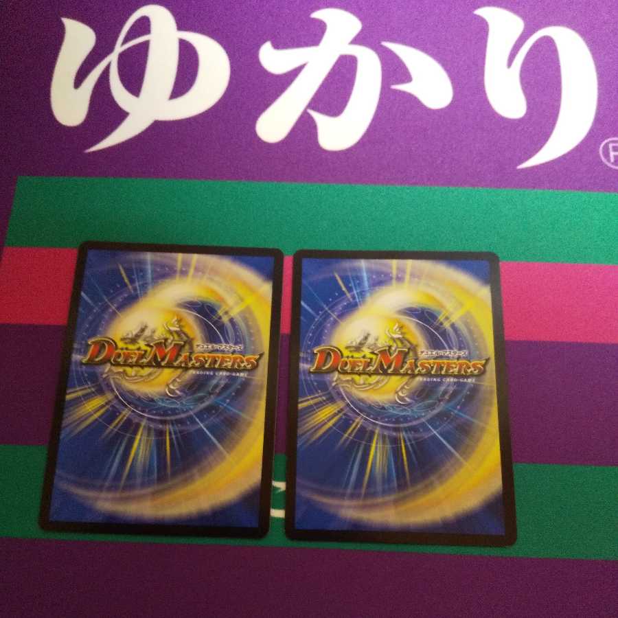 水上第九院 シャコガイル