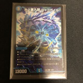 水上第九院　シャコガイル