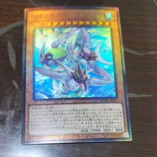 ふわんだりぃず×すのーる