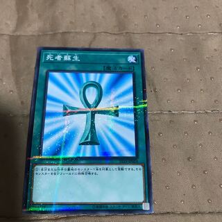 mg8-8 死者蘇生　パラ