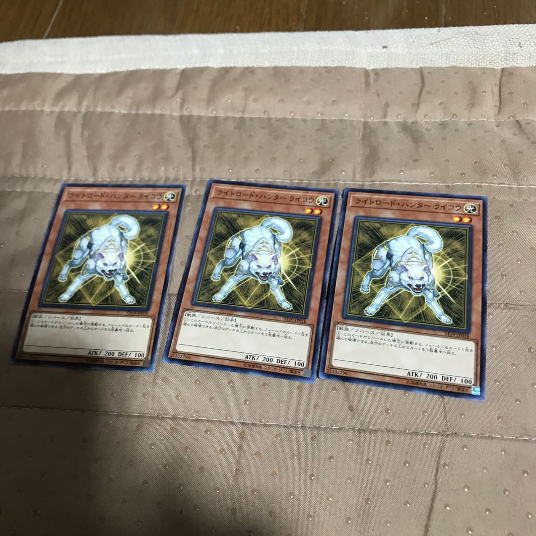 mg8-8 light lord hunter Raikou 3pcs