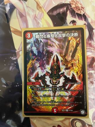 瞬閃と疾駆と双撃の決断