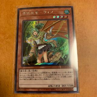 憑依装着-ウィン