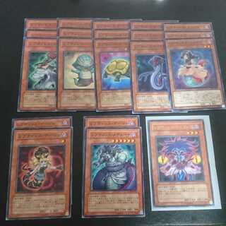 (56) Reptiles: sold in bulk 1枚