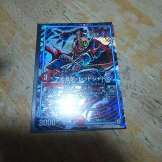 アカカゲ・レッドシャドウ