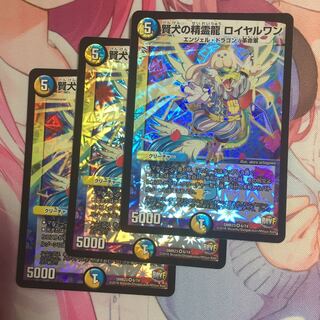 キャンペーン便乗特価  賢犬の精霊龍ロイヤルワン  3枚