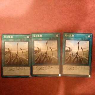 竜の霊廟 ノーマル3枚【青眼、真紅眼、聖刻デッキ等に】