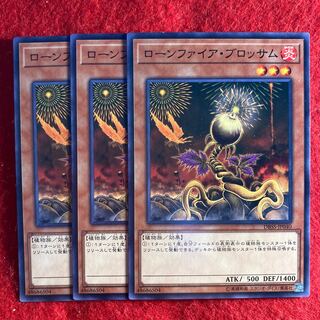 Lonefire Blossom☆4346