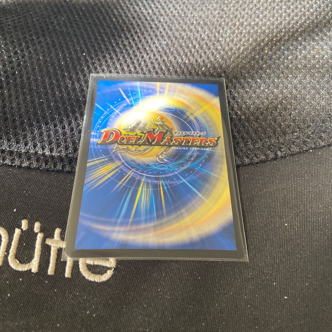 美品 雷龍 ヴァリヴァリウス