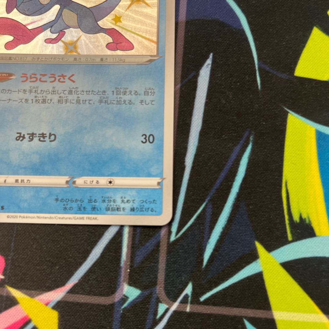 ジメレオン S 色違い