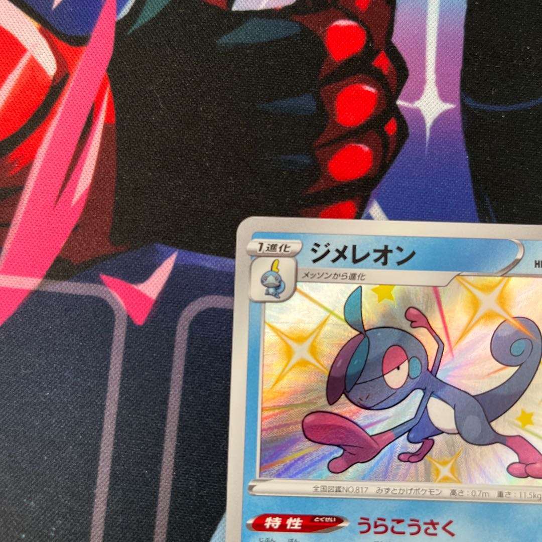 ジメレオン S 色違い