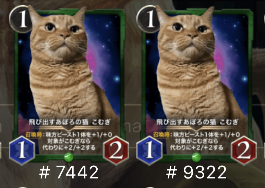 飛び出すあぽろの猫　こむぎ　2枚