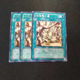 魔法族の里 レア