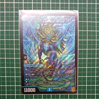 マニフェスト <リーフ．Star >  1枚