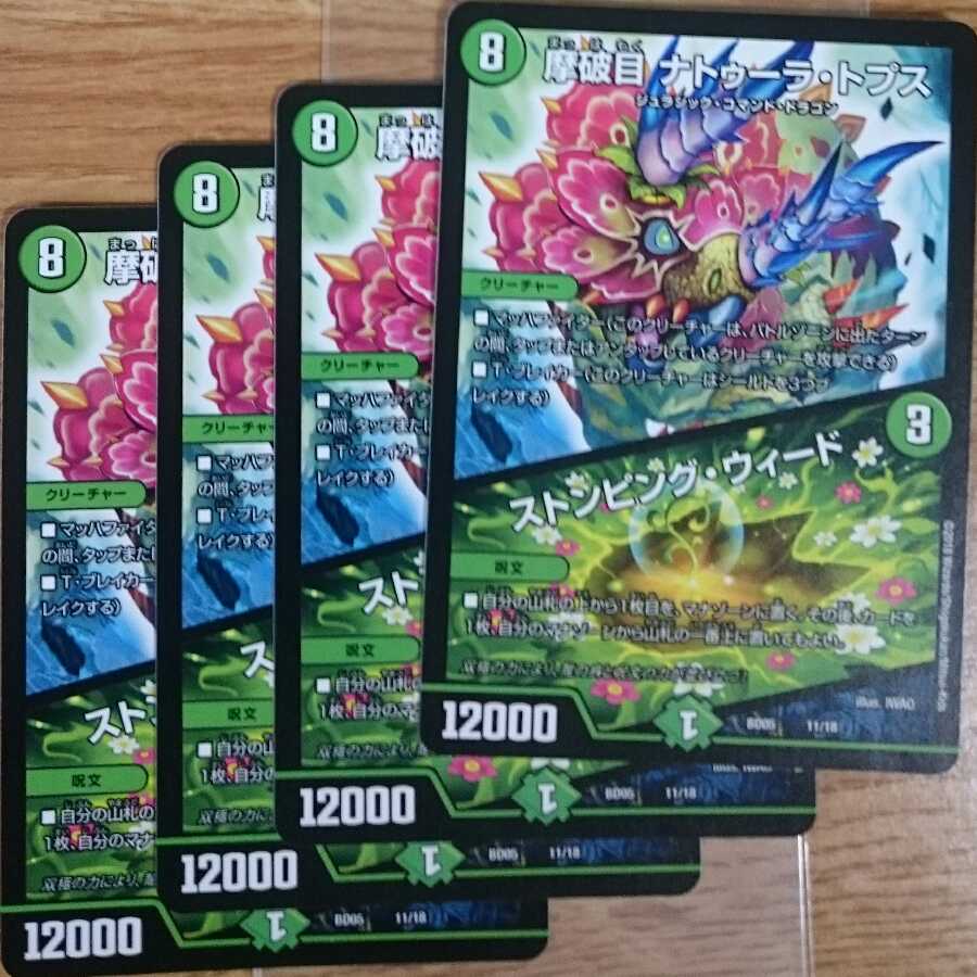 Nathura Tops｜Stomping Nettles