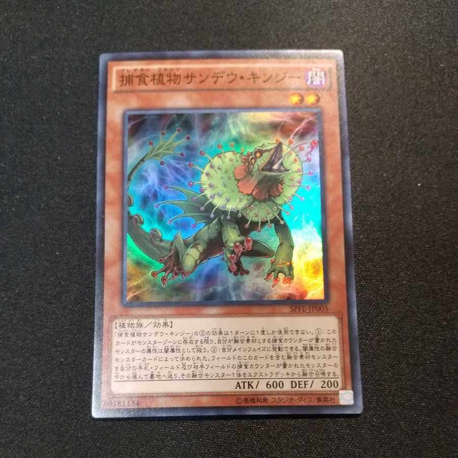 捕食植物サンデウ・キンジー スーパーレア