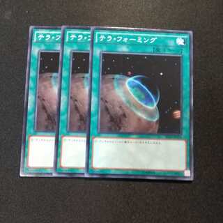 テラ・フォーミング ノーマル　他オーダー