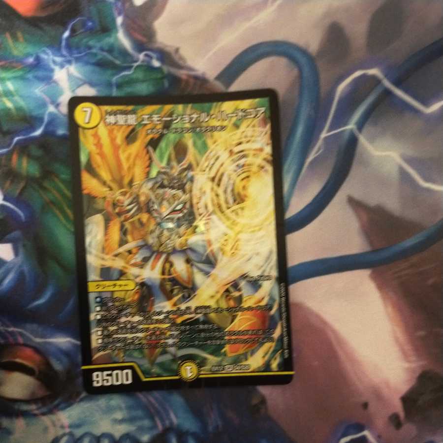 神聖龍 エモーショナル・ハードコア